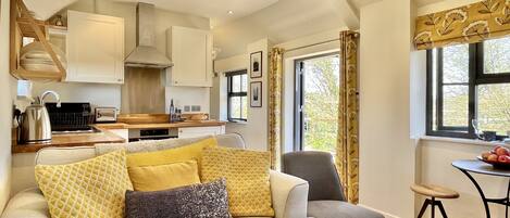 Una Smart TV, una chimenea, libros