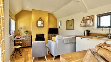 Smart TV, fireplace, books
