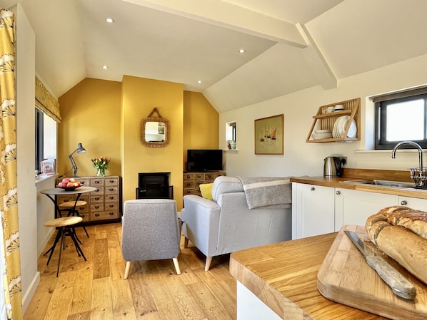 Smart TV, fireplace, books