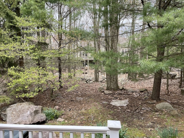 Property grounds - Lake Harmony Getaway! Located within Big Boulder Lake and Ski Area! (Lake Harmony)