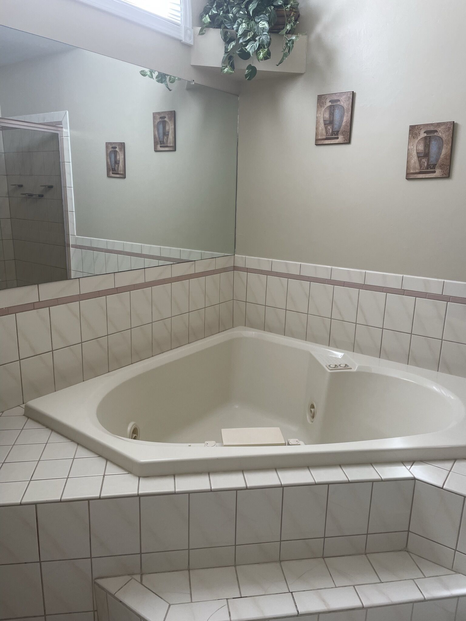 Beautiful Lake Harmony Townhouse with views of Big Boulder Lake