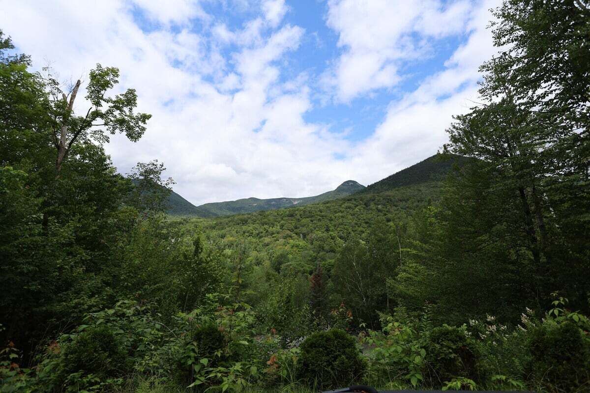 Un paysage verdoyant et luxuriant, avec une végétation dense et une montagne en arrière-plan.