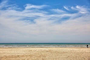 Exterior - Casa Del Mar 2 (Navodari)