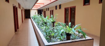 Hotel Kokopo