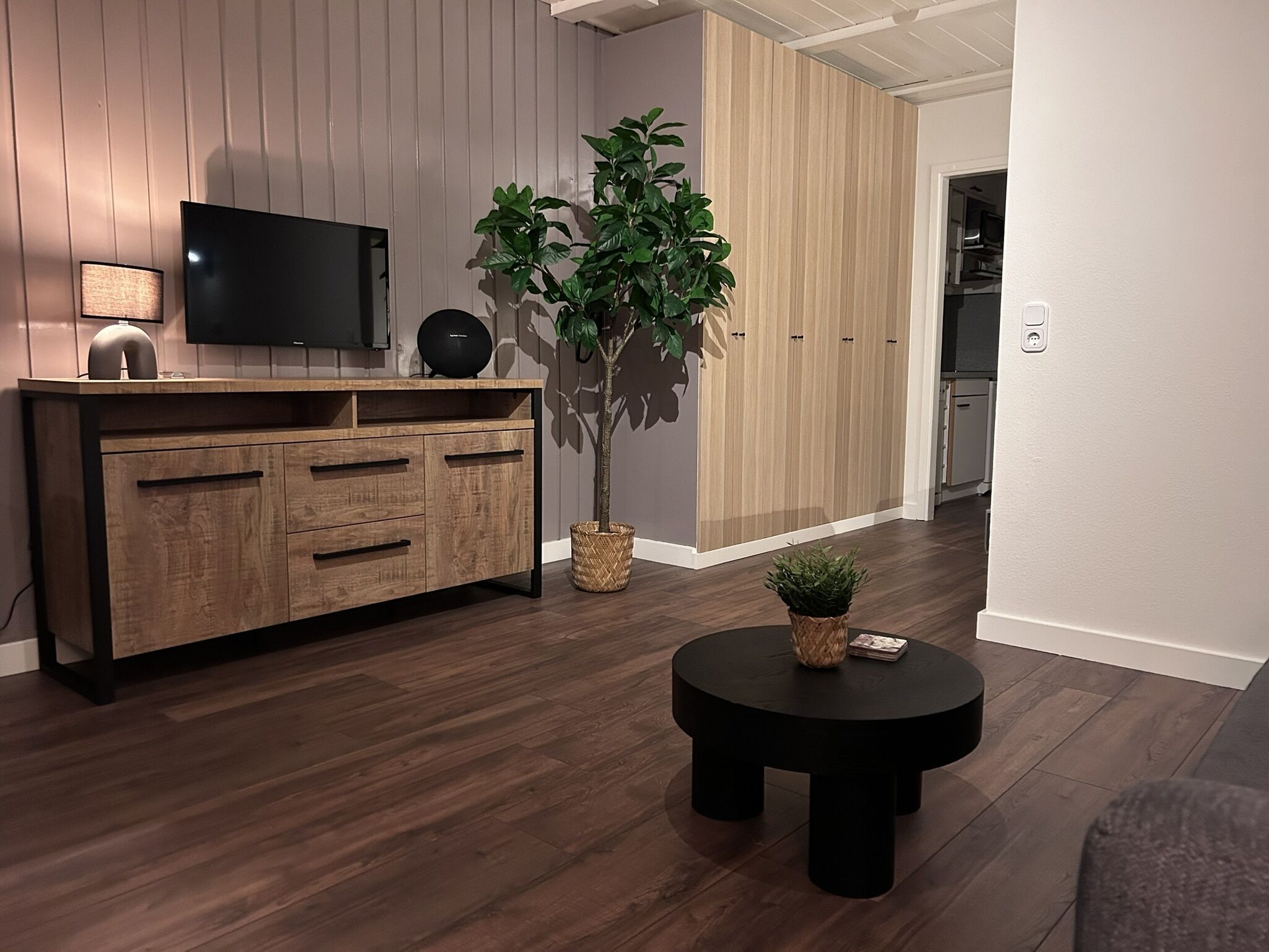 Un salon moderne avec un meuble en bois, un téléviseur à écran plat, une plante en pot et une table ronde noire.
