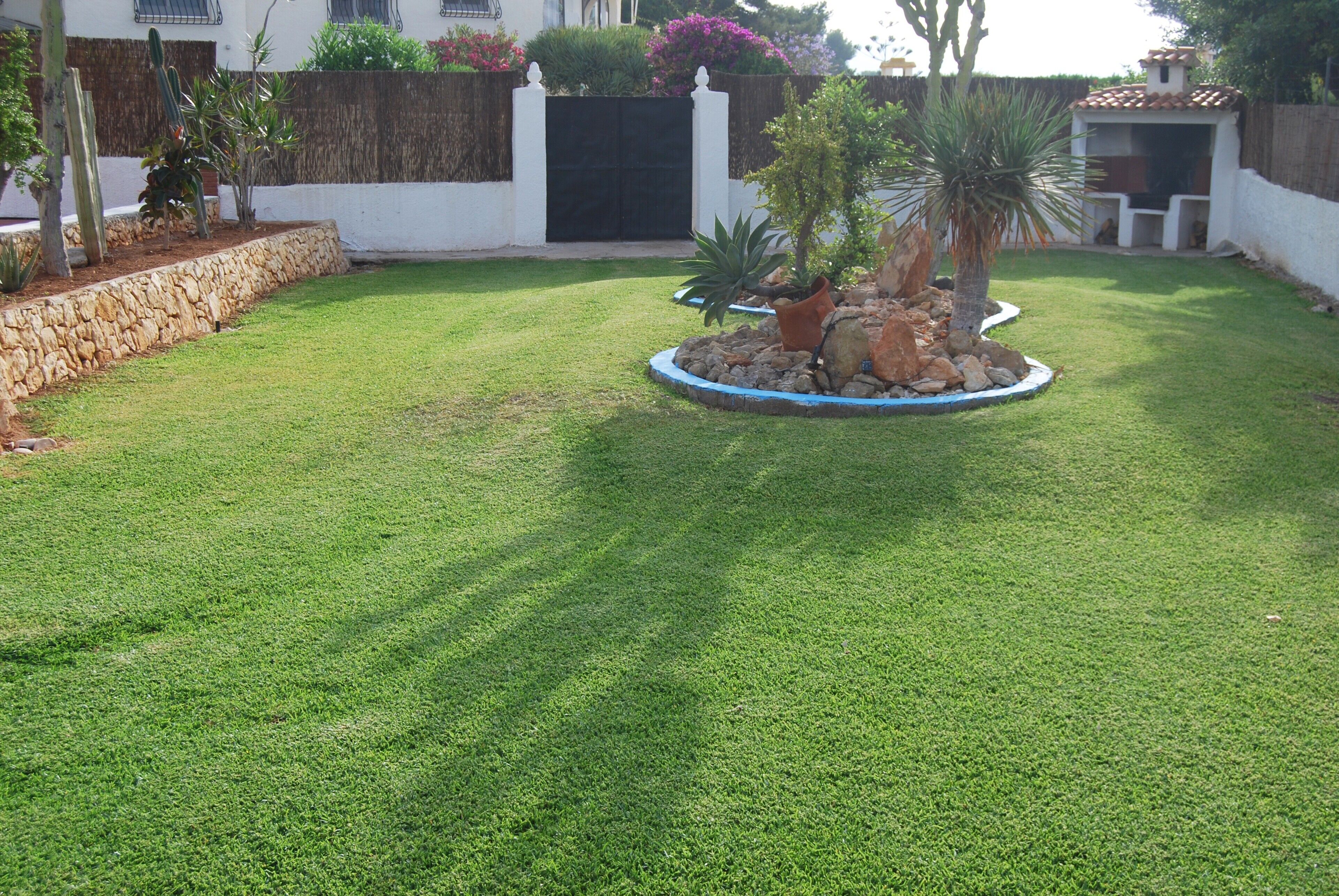 A well-maintained lawn with a circular stone border, a small rock garden, and a variety of plants including cacti and palm trees.
