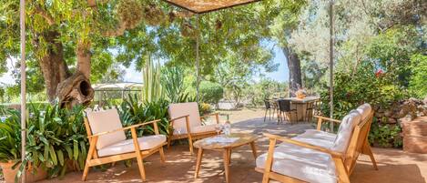 Terras