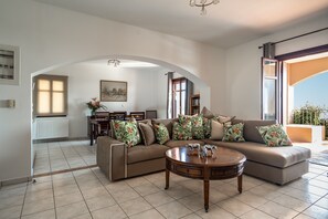 Televisión, chimenea y reproductor de DVD 