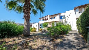 A pathway leading to a white building with blue shutters, surrounded by greenery and a palm tree.