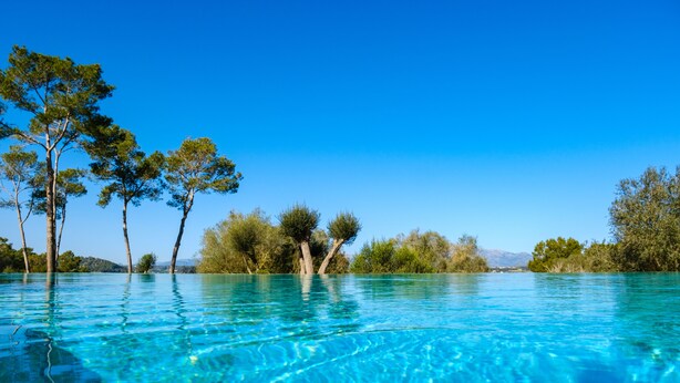 Une piscine d’eau bleue et limpide, entourée d’arbres.
