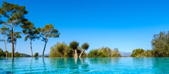 Finca Sa Bastida Luxury Retreat & Spa - Adults Only