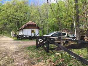 Cabin, 2 Queen Beds | Property grounds