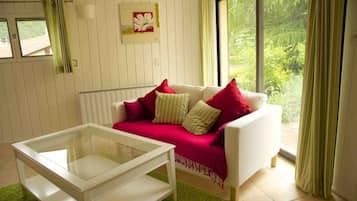 TV connectée, cheminée, lecteur de DVD, livres