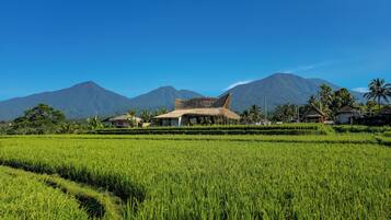 Vista frontal de la propiedad