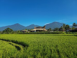 A rural landscape with a thatched-roof building, lush green fields, and mountains in the background. - Nadi Nature Resort - Adults Only (Penebel)