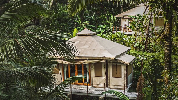 A bungalow with a thatched roof, surrounded by dense tropical foliage. - Nadi Nature Resort - Adults Only (Penebel)