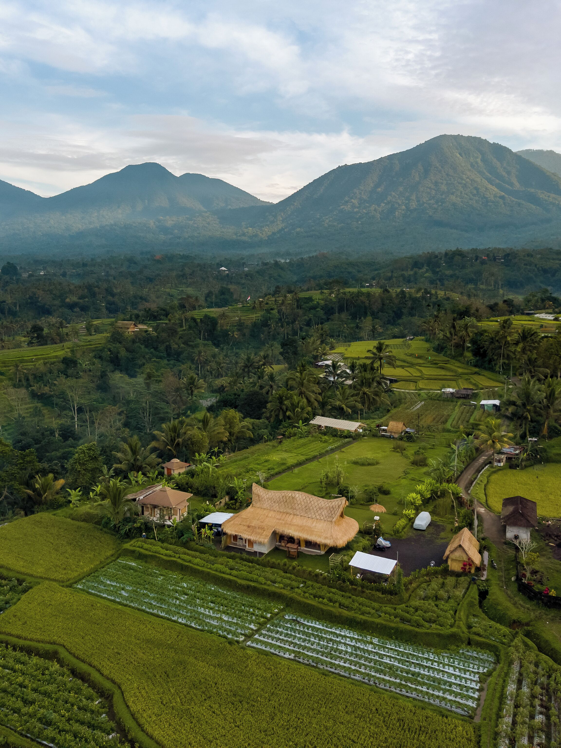 A rural landscape with terraced fields, traditional houses, and mountains in the background.