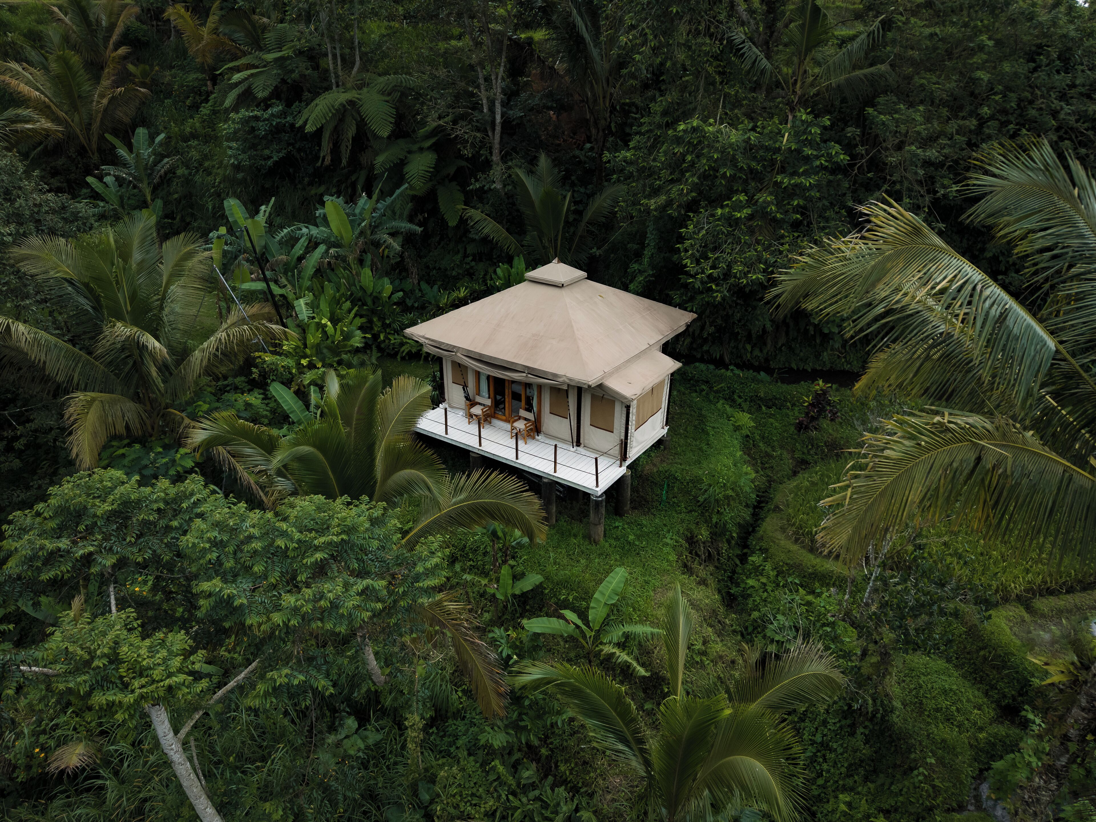 Una casa de planta baixa amb teulada plana, envoltada de vegetació tropical densa.