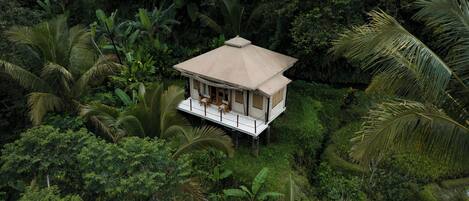 A single-story house with a flat roof, surrounded by dense tropical vegetation.