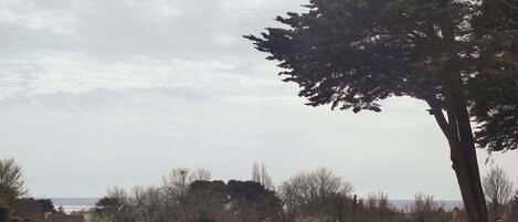 Un parque con mesas de picnic y un árbol grande.