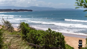 Una playa con olas, una orilla arenosa y vegetación en primer plano.