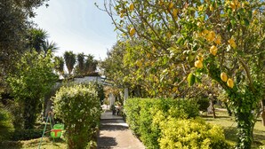 Un sendero de jardín que lleva a un edificio con fachada blanca y techo verde.