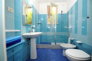Shower, hair dryer, bidet, towels