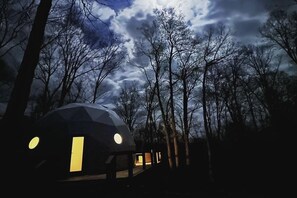 Exterior - Luxury Glamping Dome w/ Hot Tub & Views (Simpson)