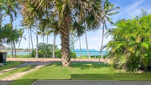 Un camí asfaltat que condueix a una zona verda amb palmeres i vista a l'oceà.