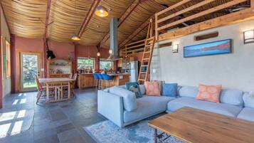 TV, fireplace, books