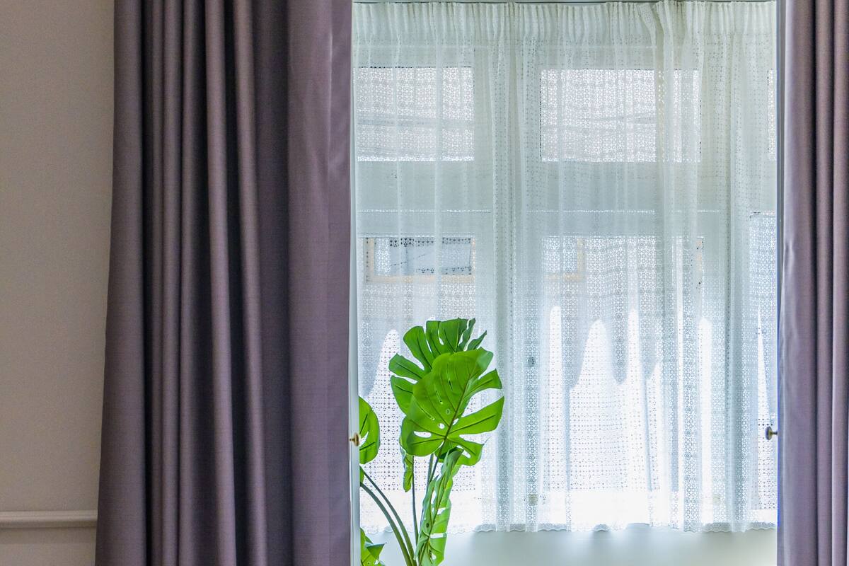 Una habitación de hotel con una cama, una planta en maceta, una silla y un ventanal con cortinas.