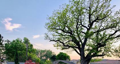 Maison tout confort **** avec piscine