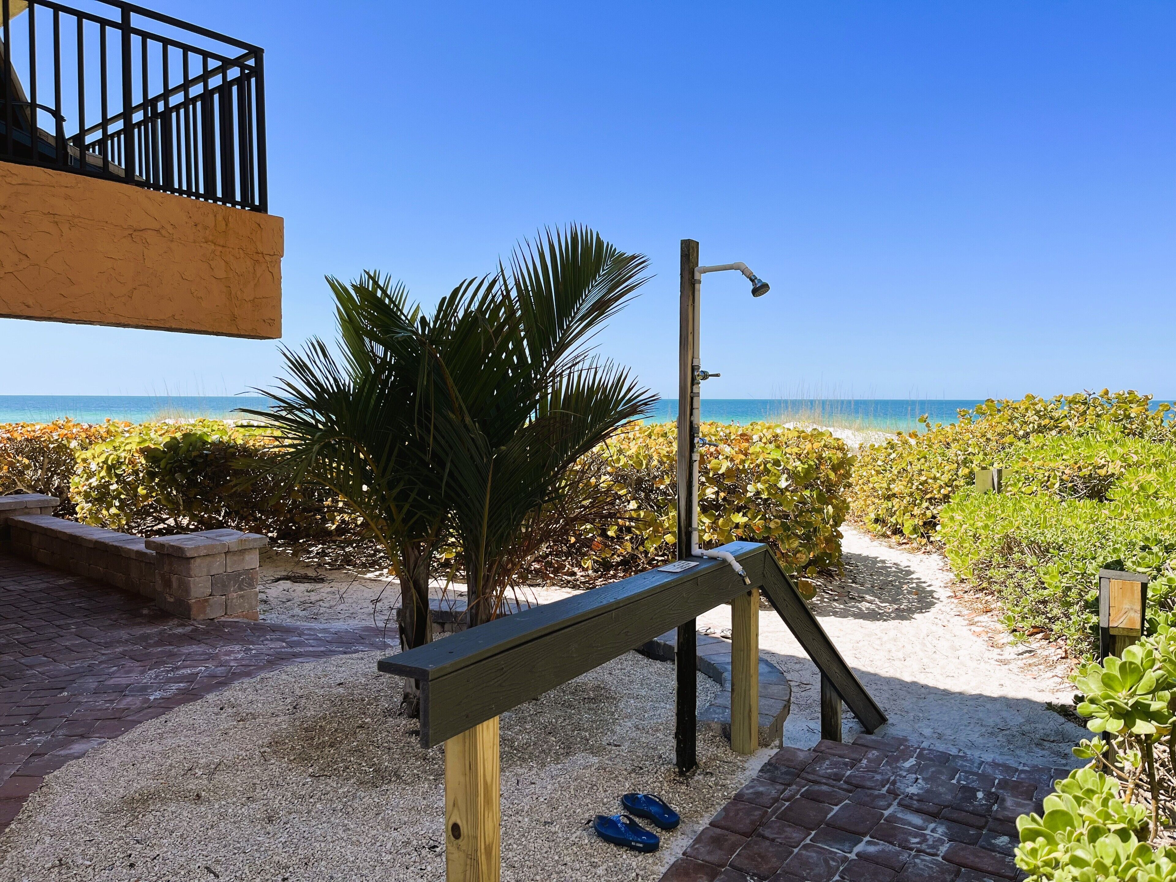 A beachside patio with a wooden bench, a small palm tree, and a pathway leading to the beach.
