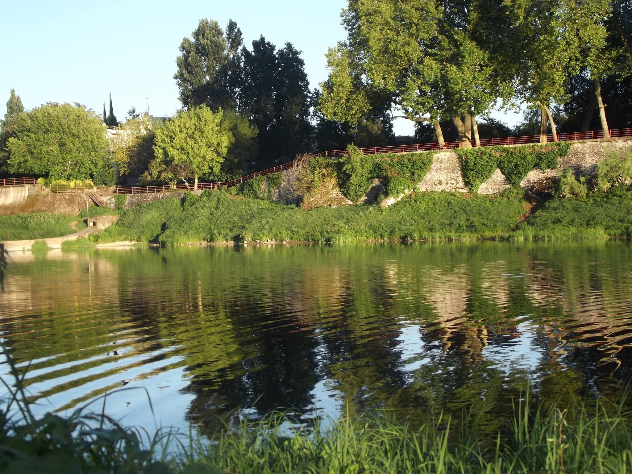 A calm river with a bridge and trees in the background.