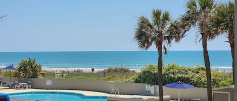 Enjoy a scenic ocean view from the comfort of our beachfront hotel, featuring a pool area surrounded by palm trees.