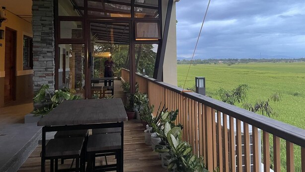 Un espace extérieur abrité, équipé d’une table et de chaises, agrémenté de plantes en pot et offrant une vue sur un champ verdoyant.