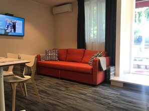 Flat-screen TV