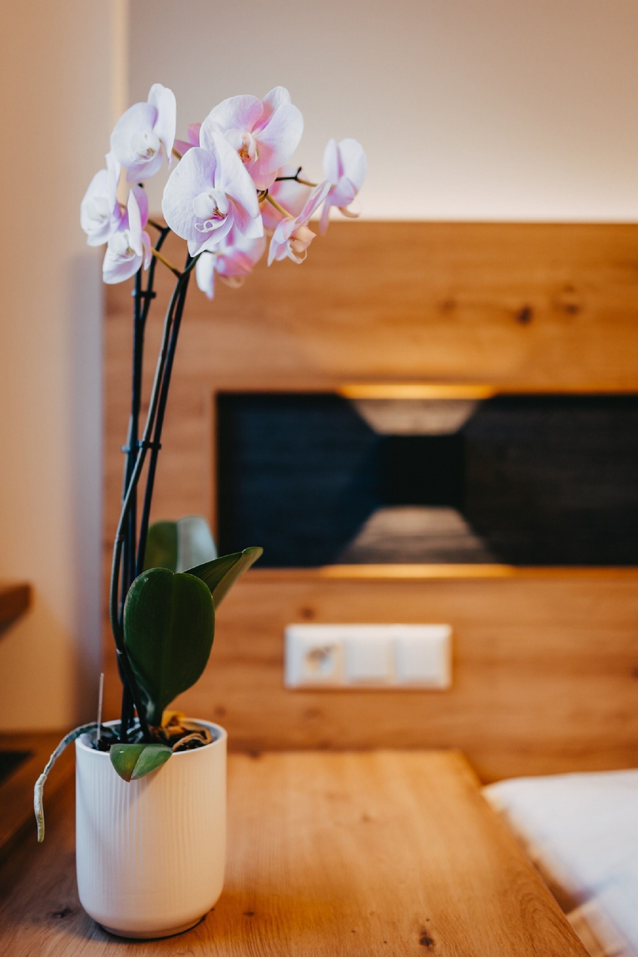 Eine weiße Orchidee im Topf auf einem hölzernen Nachttisch in einem Hotelzimmer.