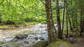 Unclassified image, 4 of 12, button