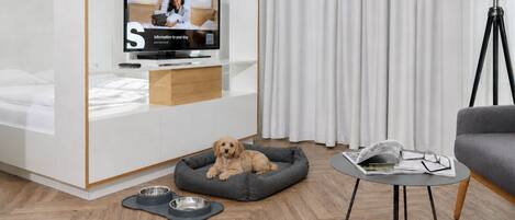 A modern living room with a television, a dog bed, a pet bowl, and a small table with reading materials.