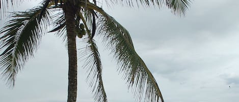 Familienapartment | Strand