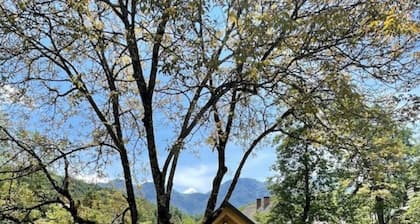 Holiday house Bohinj  by the river