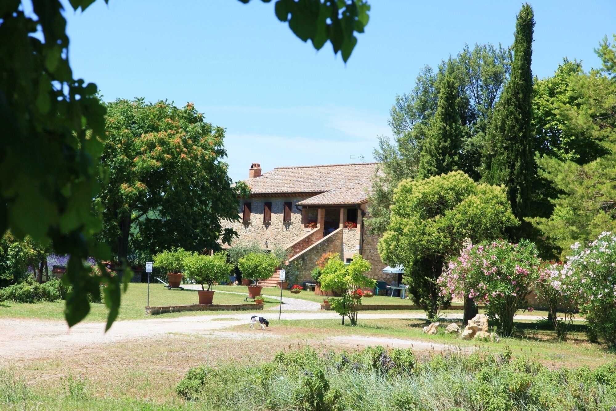 Nature and relax in agriturismo Podere Luchiano with private swimming pool