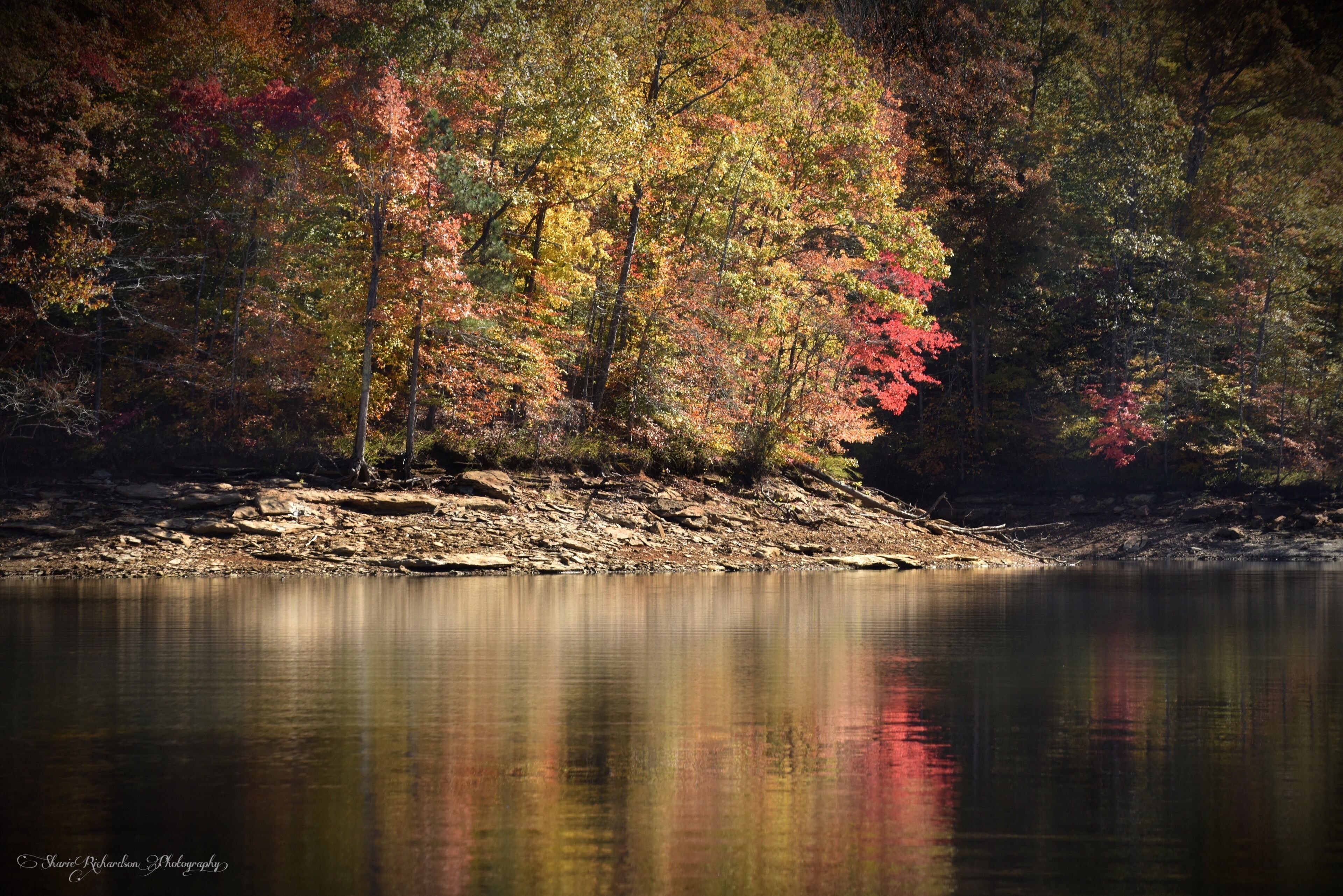 FISHERMAN’S PARADISE! GAME ON! COME AND GET IT!