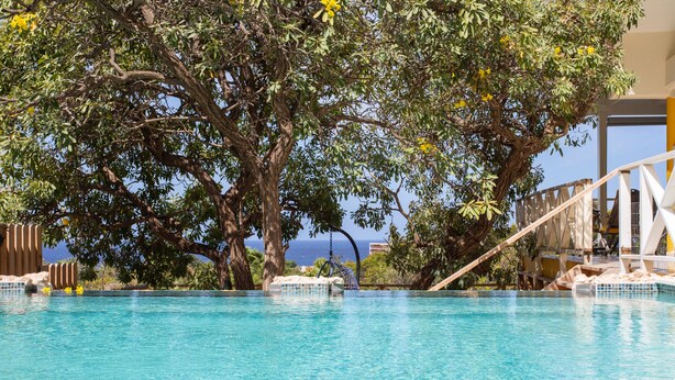 Ein klares, blaues Schwimmbecken mit einem Baum im Hintergrund und Blick auf den Ozean.