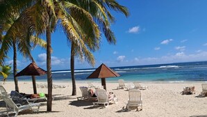 Ein Strand mit weißen Liegestühlen und Palmen.
