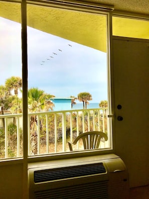 Una ventana con vista al océano y aves volando.