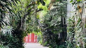 A pathway surrounded by dense greenery and a red gate, leading to a building with a white facade. - La Cour - Hotels (Lagos)
