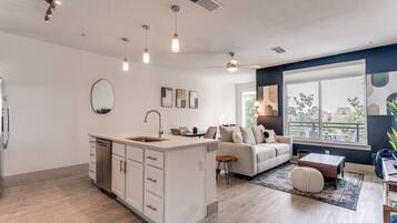 TV, video games, DVD player, books