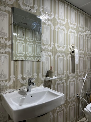 Shower, hair dryer, bidet, towels